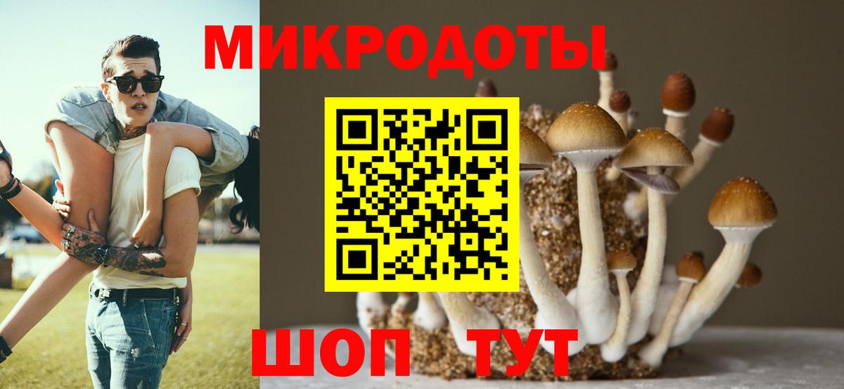 Псилоцибиновые грибы Psilocybe  Вход с VPN  наркотики  Галлюциногенные грибы прущие грибы  Углич 